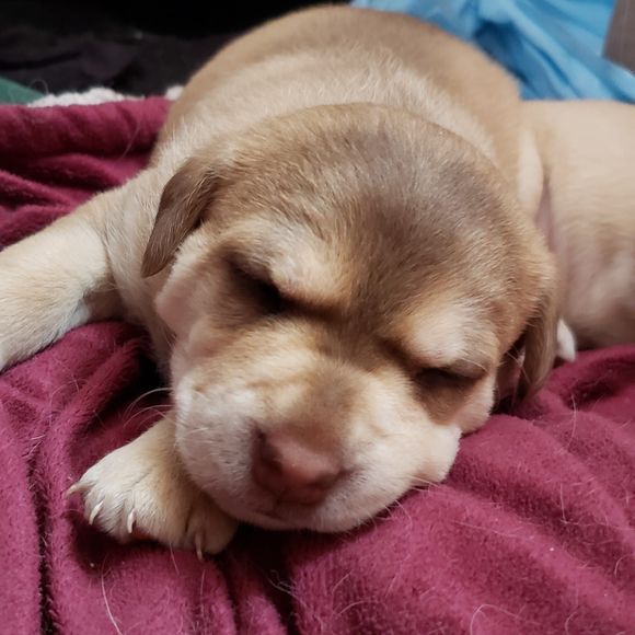 Meet your Posher, Walter - Picture 1 of 1